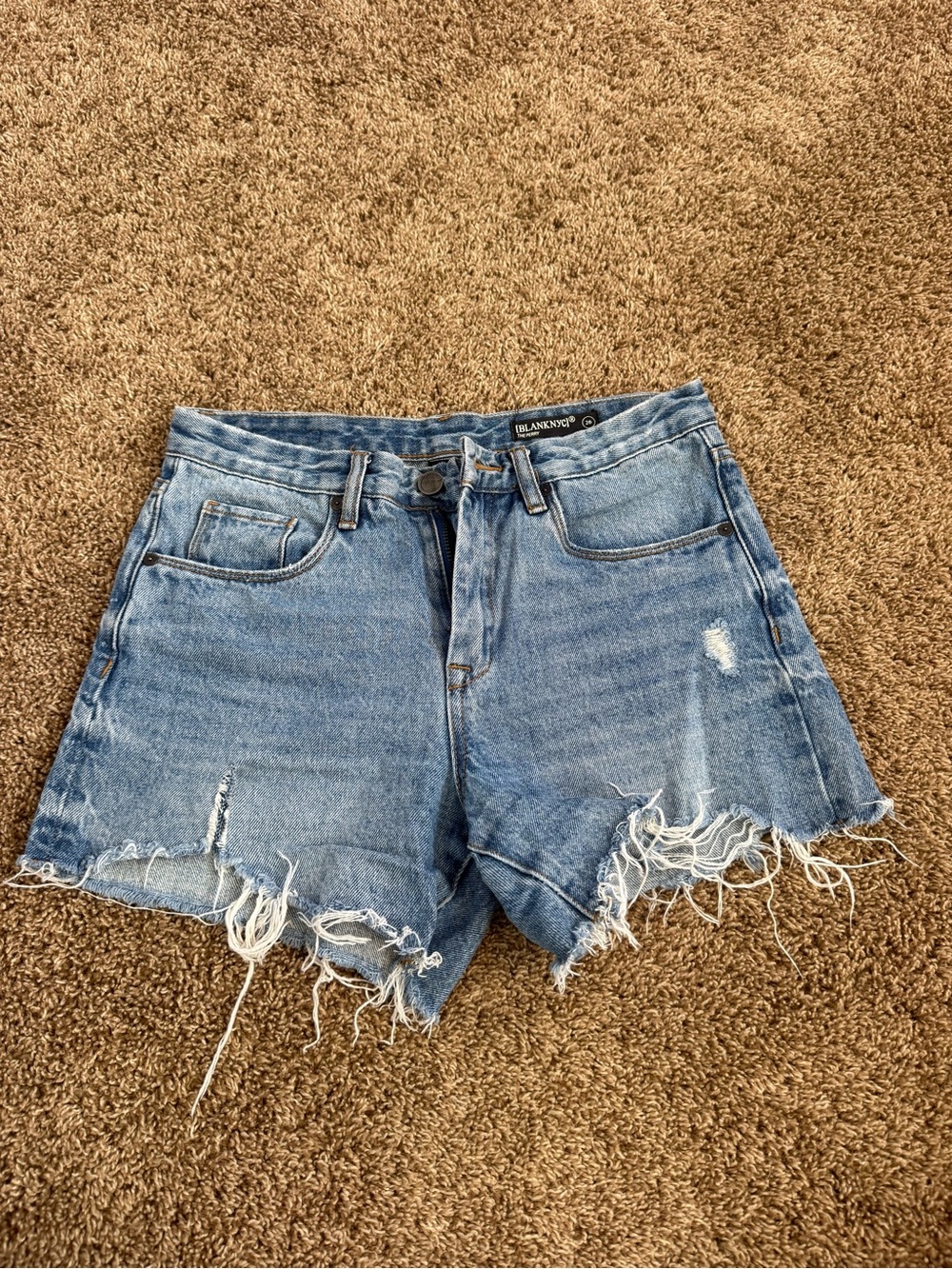 Blank NYC Light Blue Distressed Jean Shorts with Frayed Hem